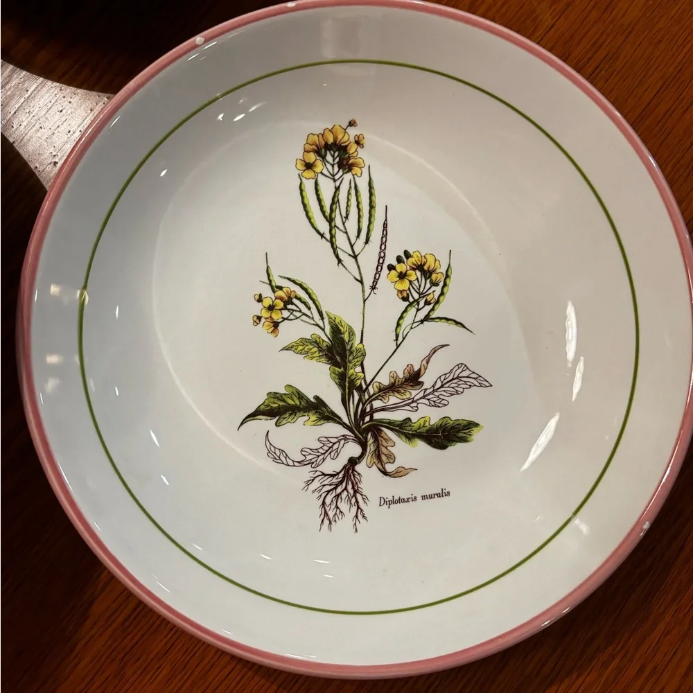 Williams Sonoma Botanical Dinnerware Set with Red Trim